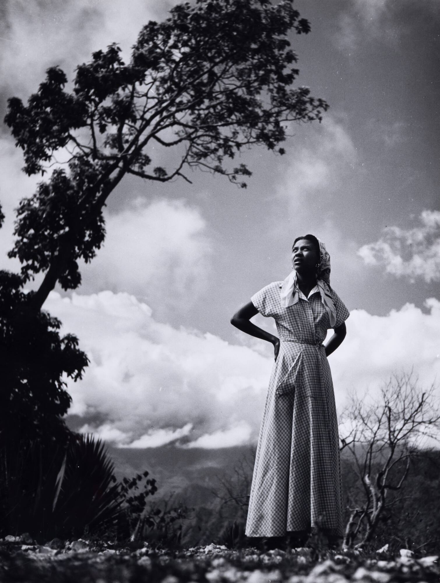 Photo Credit: Rich Sanders, Des Moines