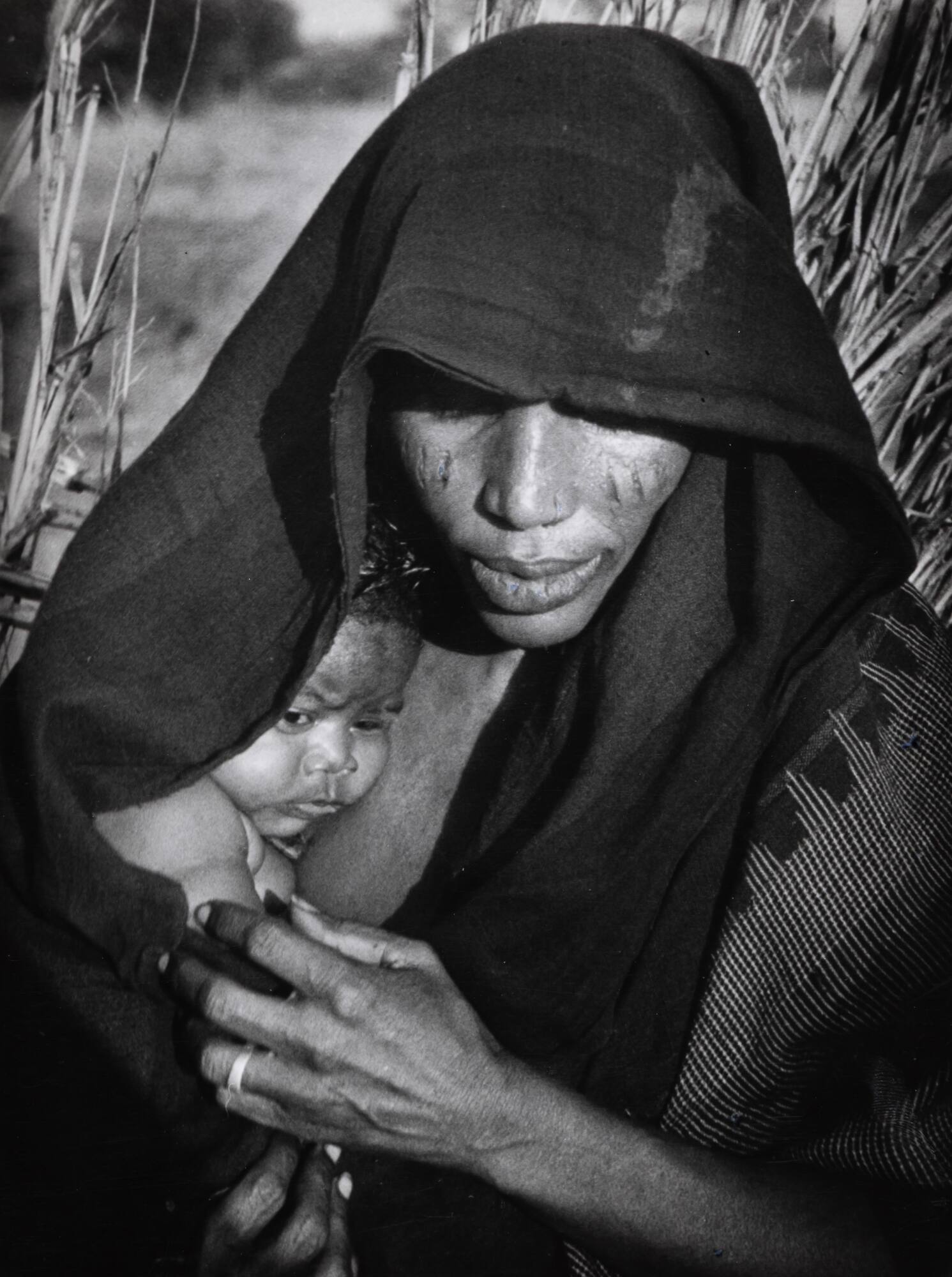 Photo Credit: Rich Sanders, Des Moines