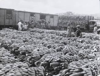 Photo Credit: Rich Sanders, Des Moines