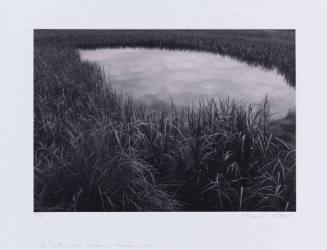 Photo Credit: Rich Sanders, Des Moines
