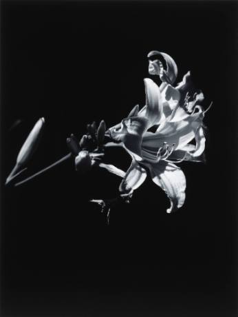 Photo Credit: Rich Sanders, Des Moines